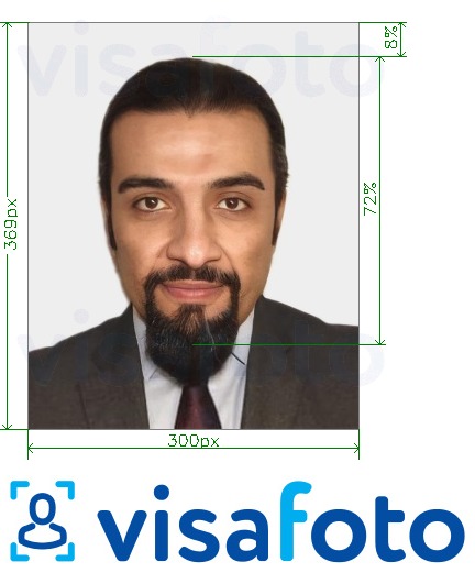 सटीक आकार विनिर्देश के साथ संयुक्त अरब अमीरात वीजा ऑनलाइन अमीरात कॉम 300x369 पिक्सल के लिए तस्वीर का उदाहरण