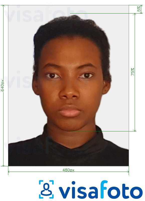 सटीक आकार विनिर्देश के साथ बहामास पासपोर्ट 480x640 पिक्सल के लिए तस्वीर का उदाहरण