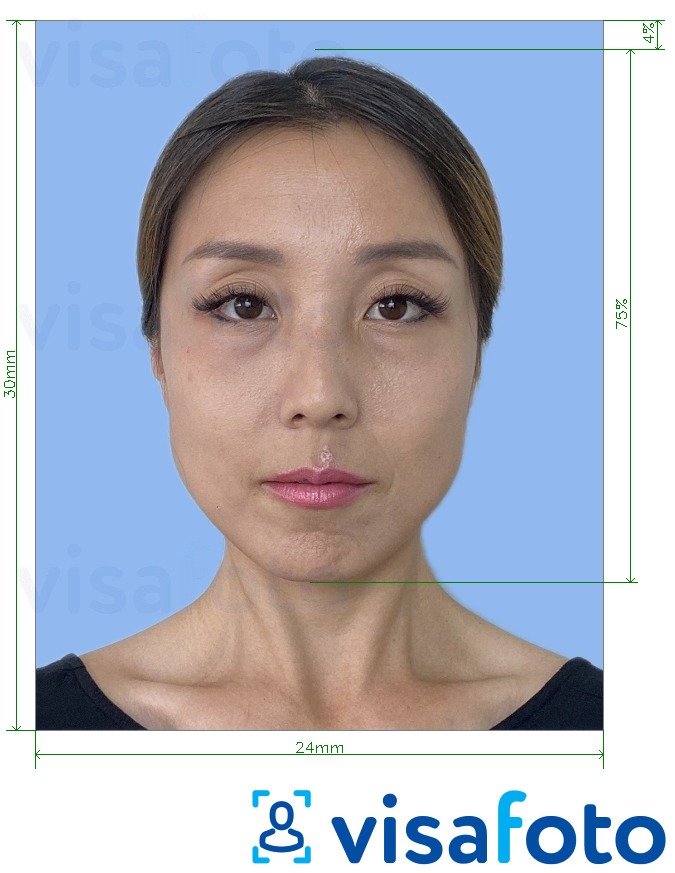 सटीक आकार विनिर्देश के साथ जापान शिकार लाइसेंस 2.4x3 सेमी के लिए तस्वीर का उदाहरण