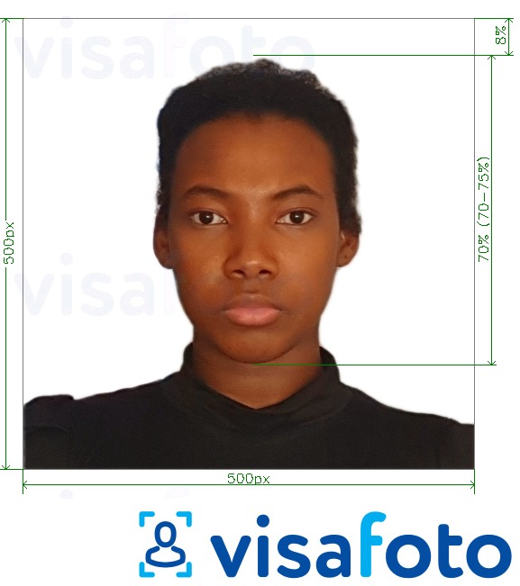 सटीक आकार विनिर्देश के साथ केन्या ई-वीजा ऑनलाइन 500x500 पिक्सल के लिए तस्वीर का उदाहरण