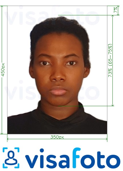 सटीक आकार विनिर्देश के साथ नाइजीरिया ऑनलाइन वीज़ा 200-450 पिक्सेल के लिए तस्वीर का उदाहरण