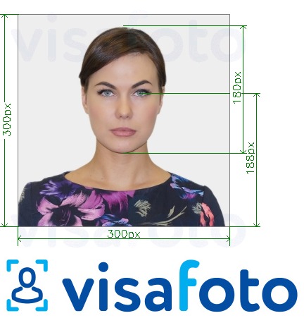 सटीक आकार विनिर्देश के साथ मिलर्सविले यूनिवर्सिटी आईडी कार्ड 300x300 px के लिए तस्वीर का उदाहरण