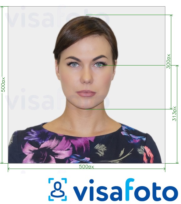 सटीक आकार विनिर्देश के साथ यूनिवर्सिटी ऑफ़ वर्जीनिया आईडी कार्ड 500x500 px के लिए तस्वीर का उदाहरण